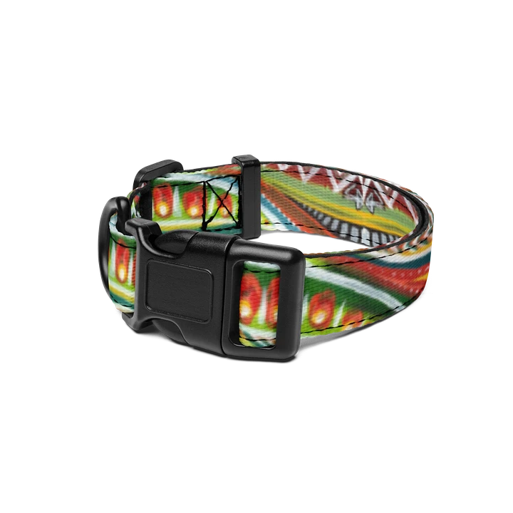 ARENA - COLLAR product image (1)