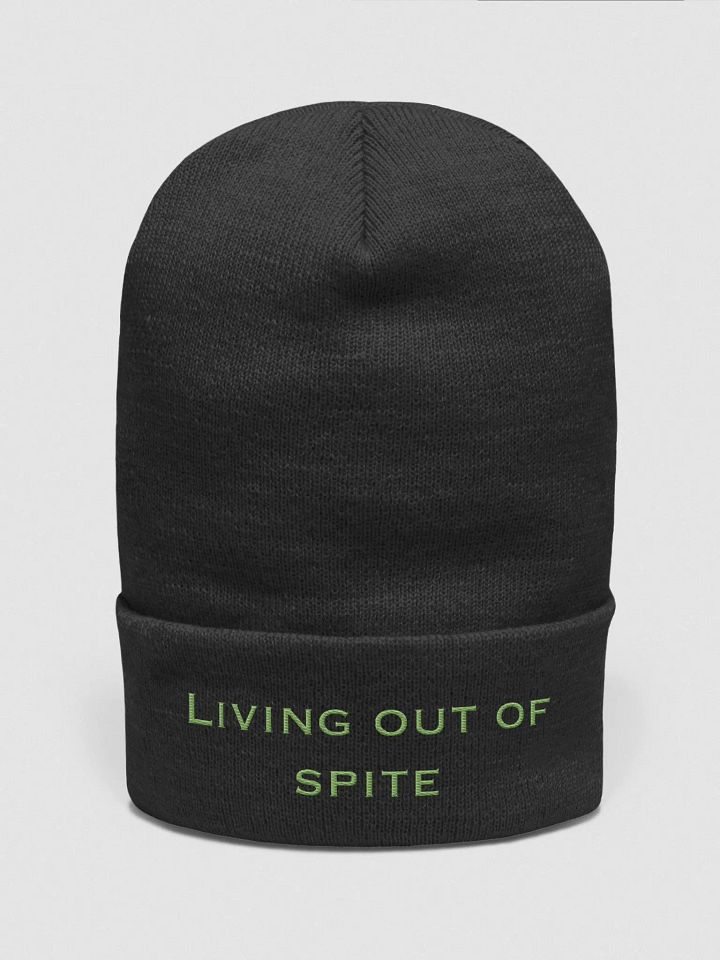 Living out of Spite product image (1)
