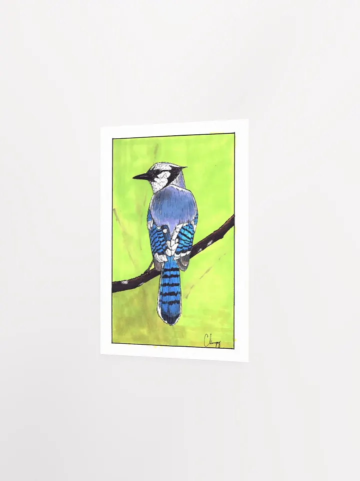 Blue Jay Print product image (2)