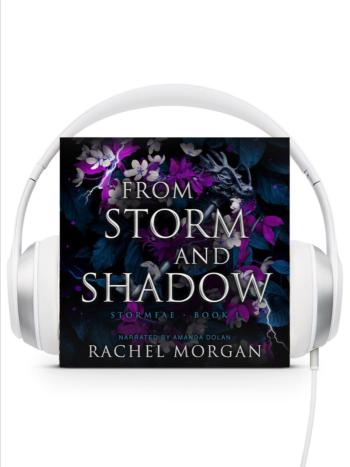 From Storm and Shadow AUDIOBOOK product image (1)