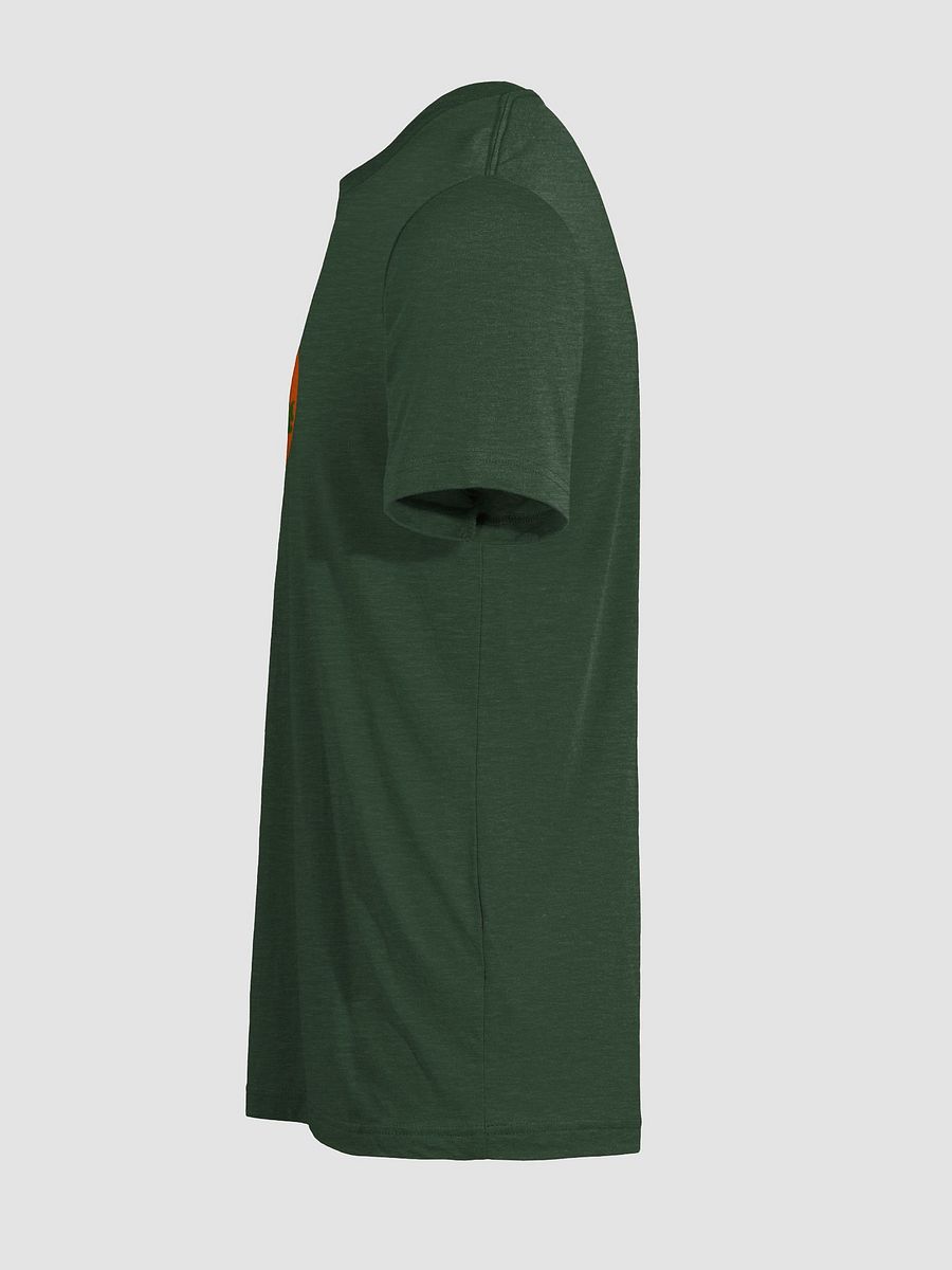 Sunlit Tree Triblend Tee product image (7)