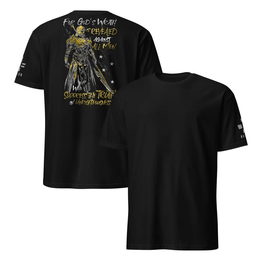 Paladin product image (13)