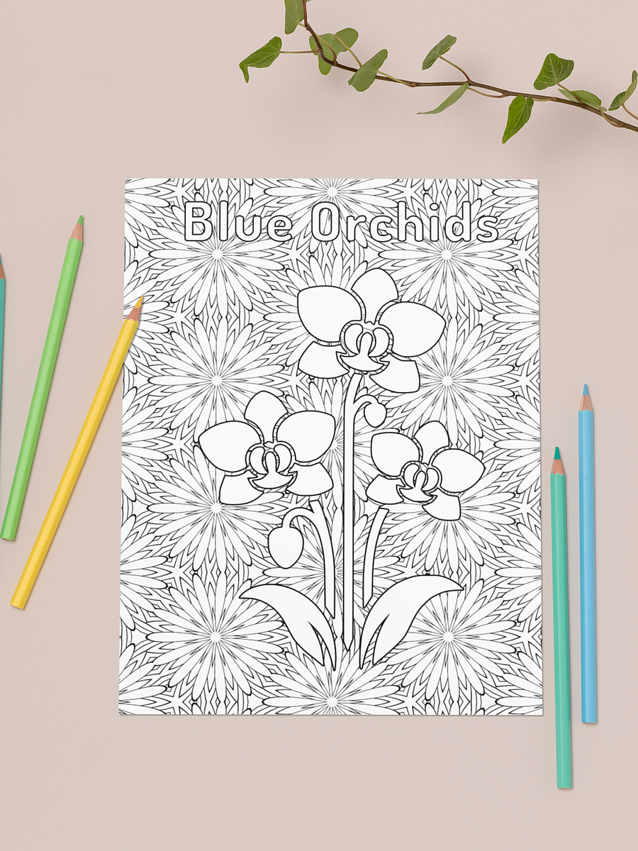 100 Nature & Pattern Coloring Pages PDF (US Letter Size) product image (4)