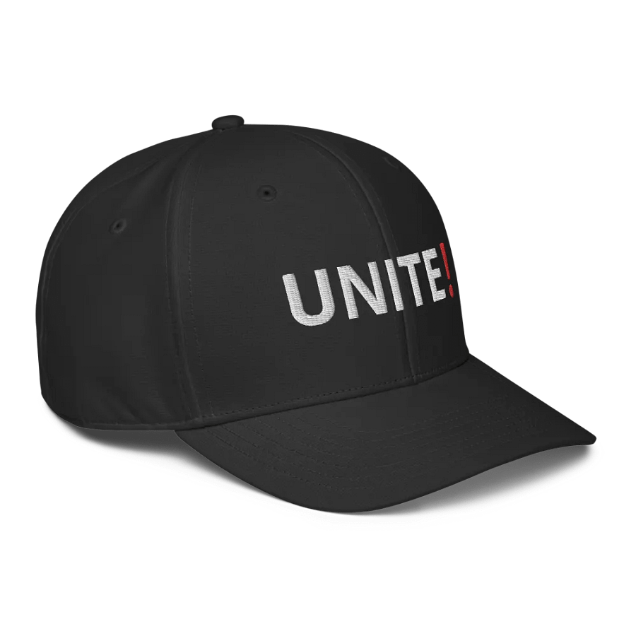Unite - Embroidered ADIDAS Dad Hat product image (3)