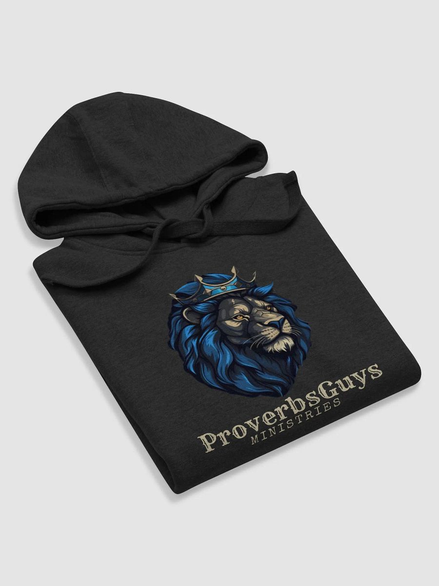 PGM hoodie product image (5)