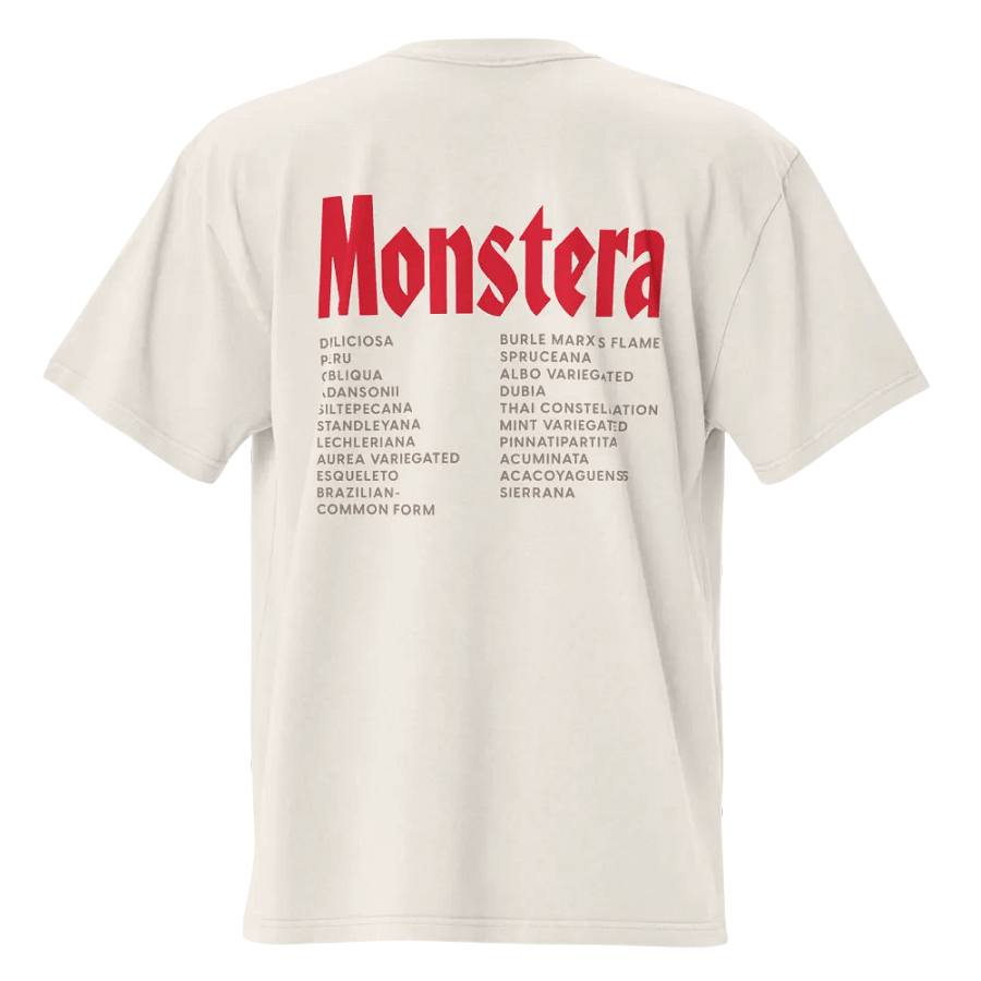 ⚡️ MONSTERA WORLD TOUR ⚡️ oversized tee product image (2)