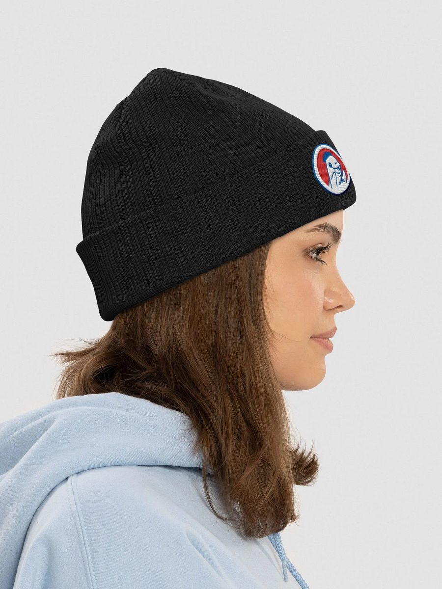 Tuque Club des marsouins product image (8)