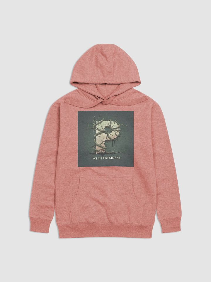P as in president hoodie product image (23)