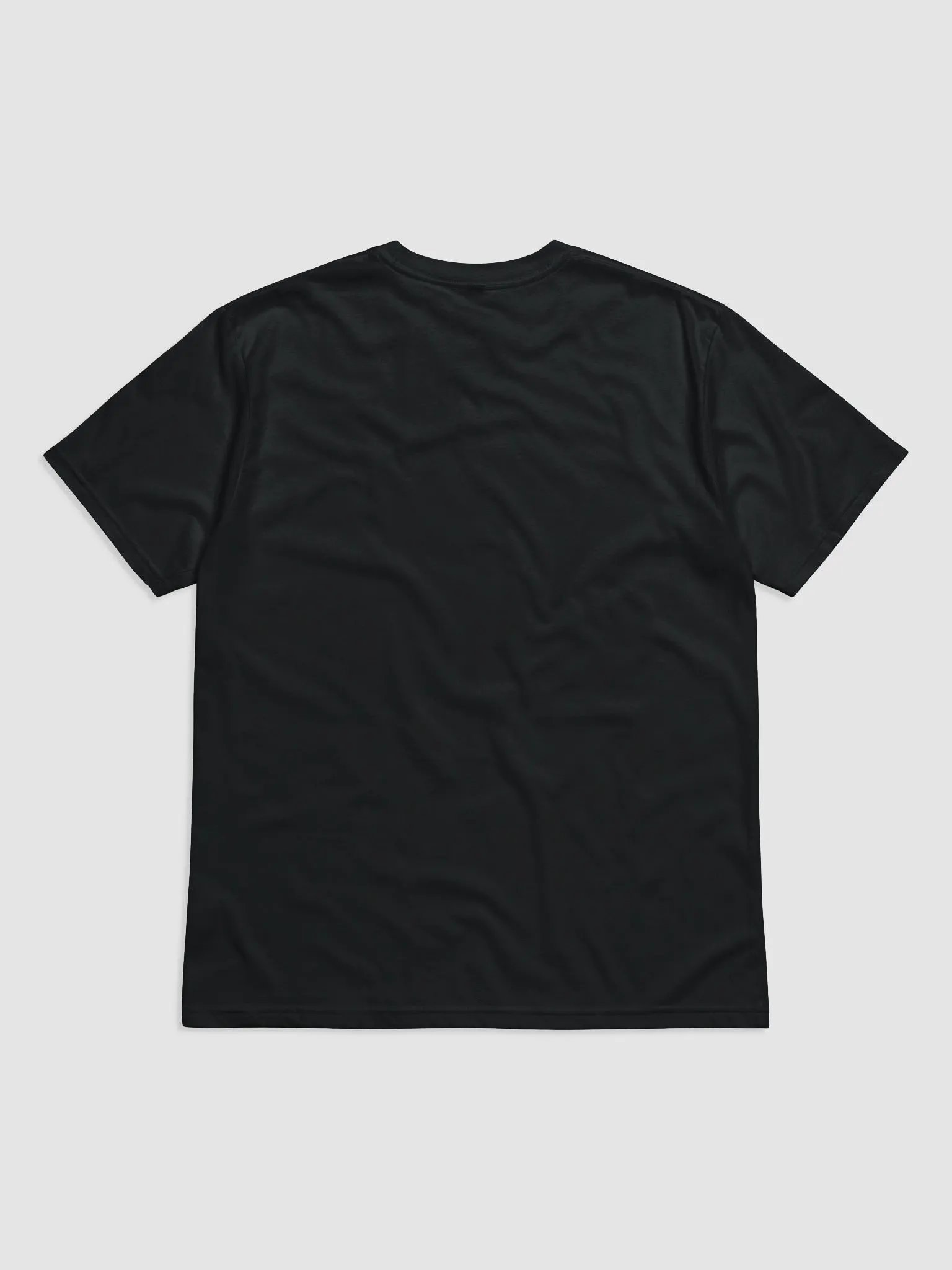 Seiryu Abs T-Shirt product image (2)