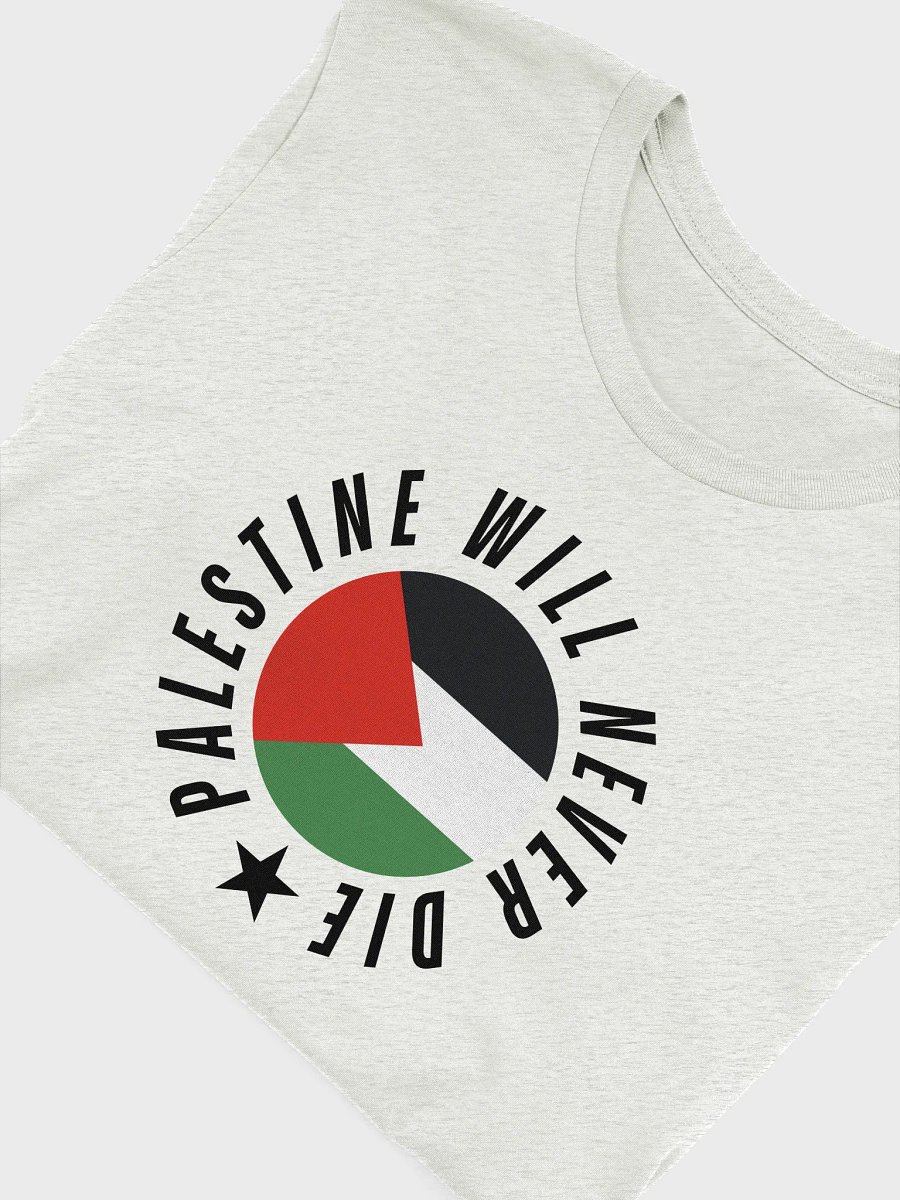 Palestine Flag Iconic T-Shirt | Palestine will never die product image (49)
