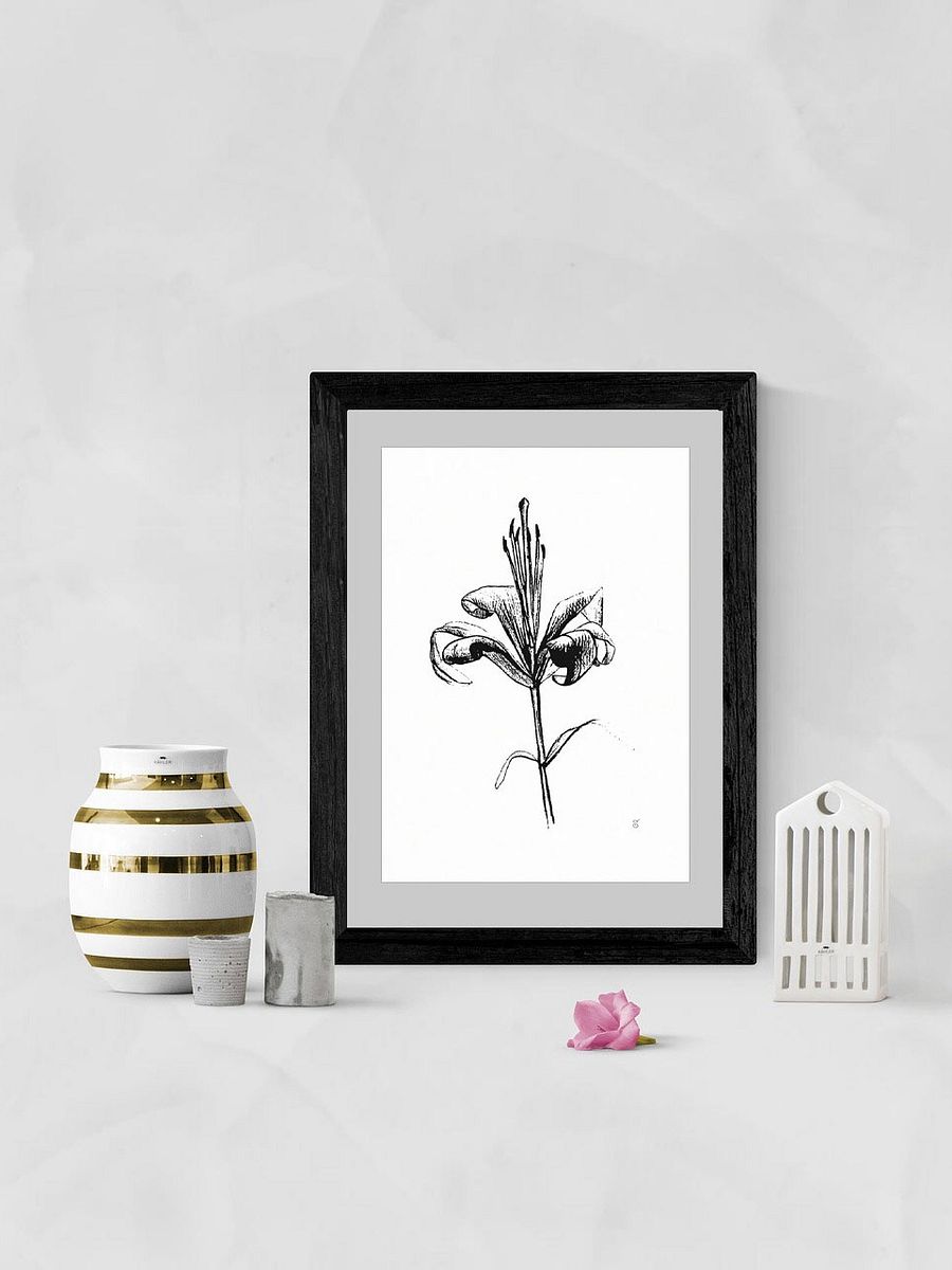 Lily Elegance Poster - Fine Flower Light product image (7)