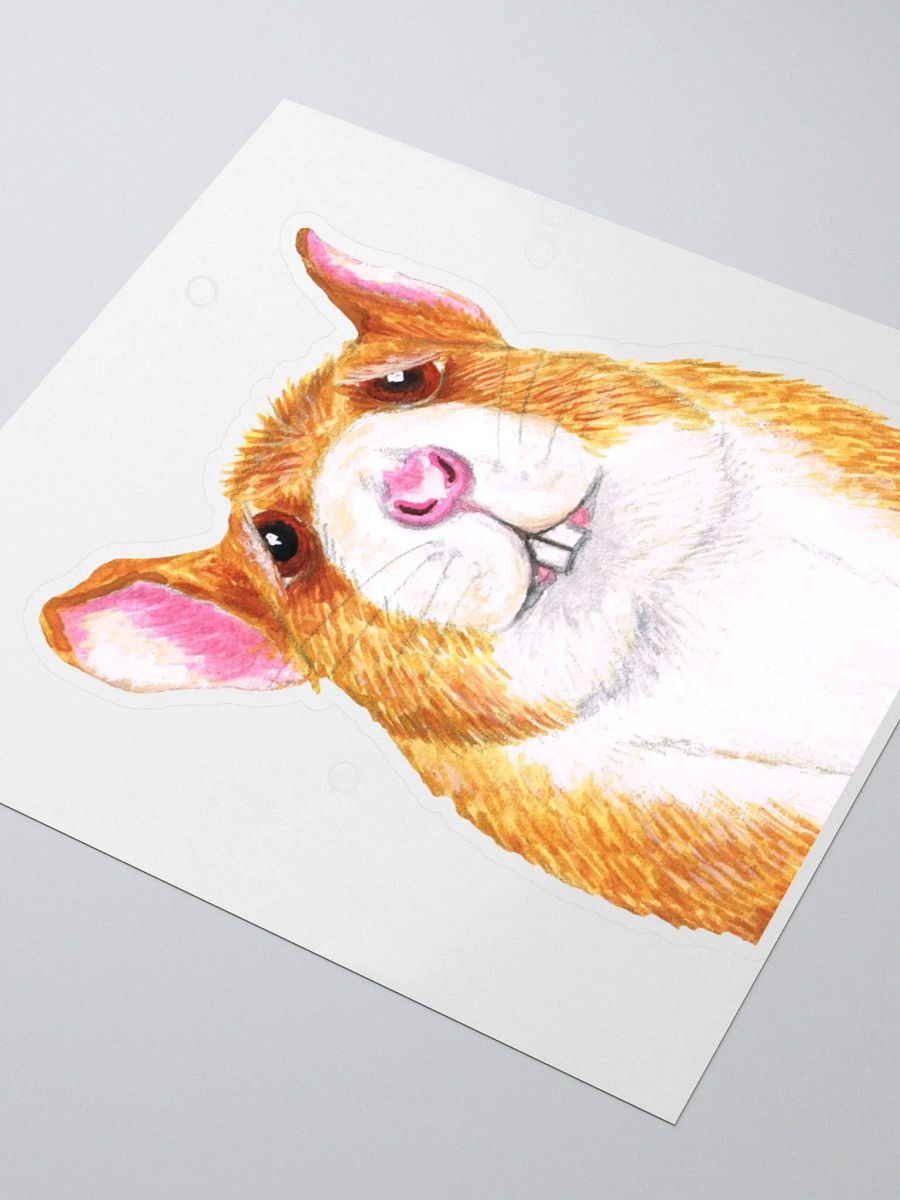 worried rat sticker product image (8)