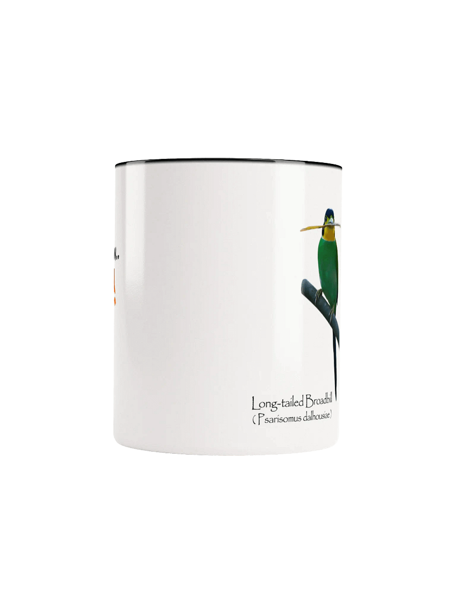 Long-tailed Broadbill mug. product image (5)