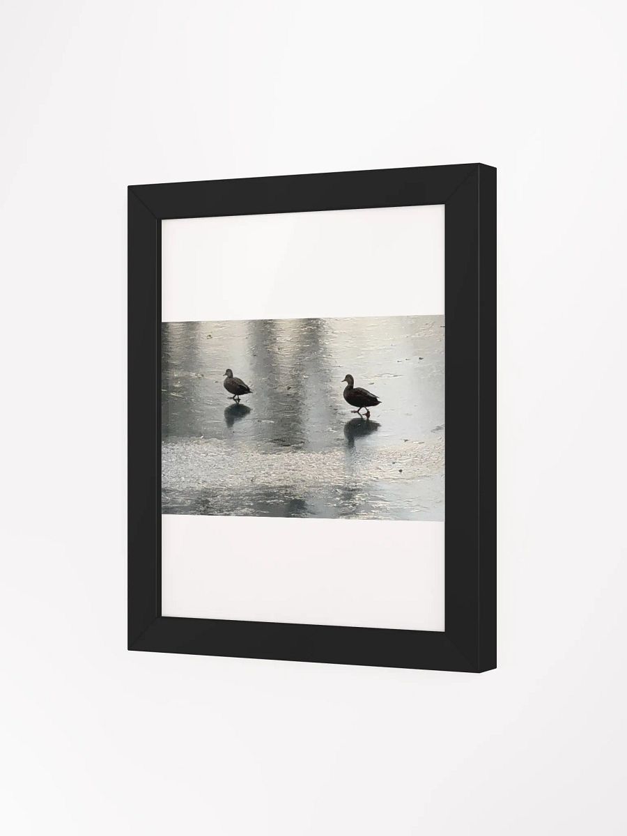 Ducks On Ice print product image (21)