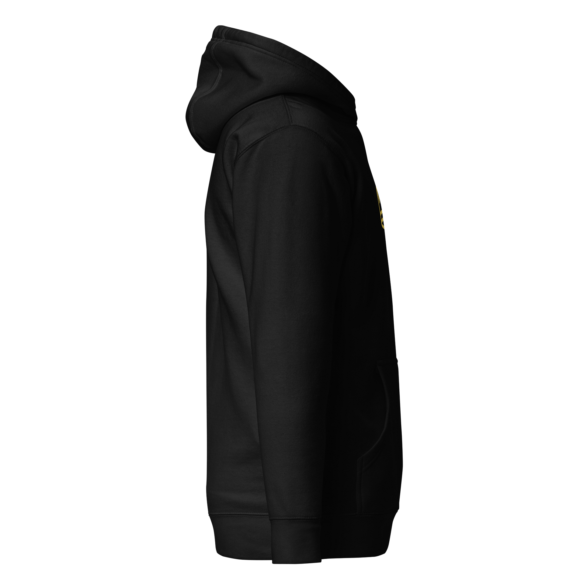 Child Of The King Premium Hoodie product image (5)