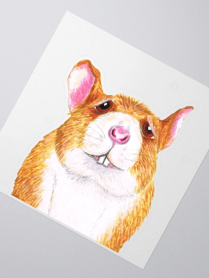worried rat sticker product image (5)