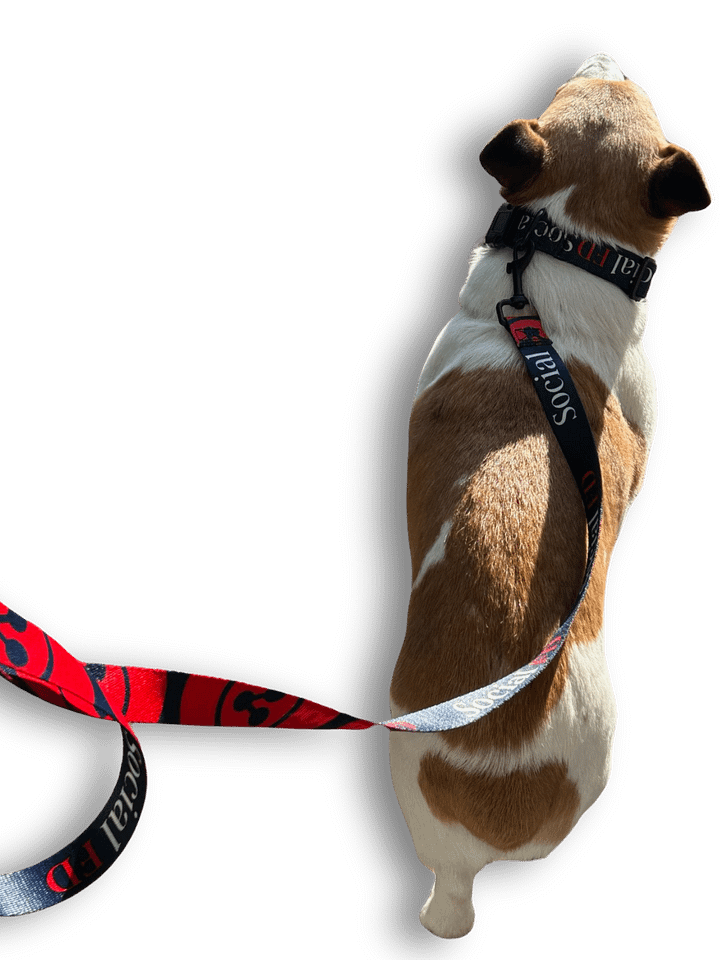 Social FD Leash product image (1)