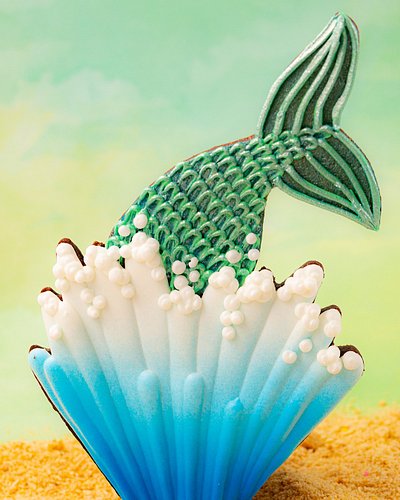 We had an amazing time during our visit to the Virginia Aquarium in Virginia Beach earlier this month. I spotted these beauti...