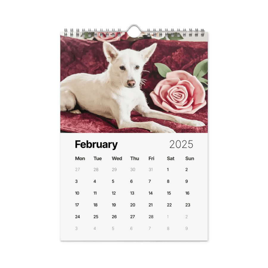 Eli's Favorite 2025 Calendar product image (5)