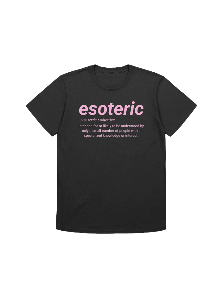 Esoteric Definition Tee (pink) product image (1)