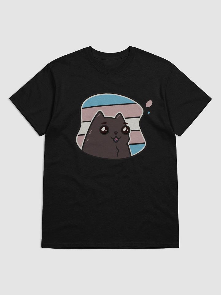 t-shirt : void transgender product image (1)