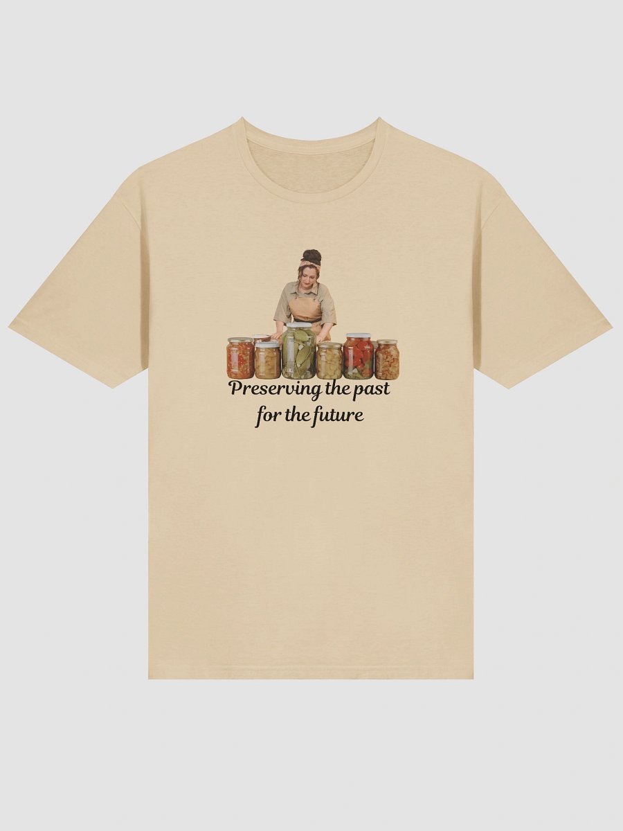 Preserving the past for the future T-Shirt product image (42)