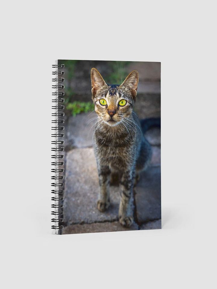 Feral Cat - Spiral Notebook product image (1)