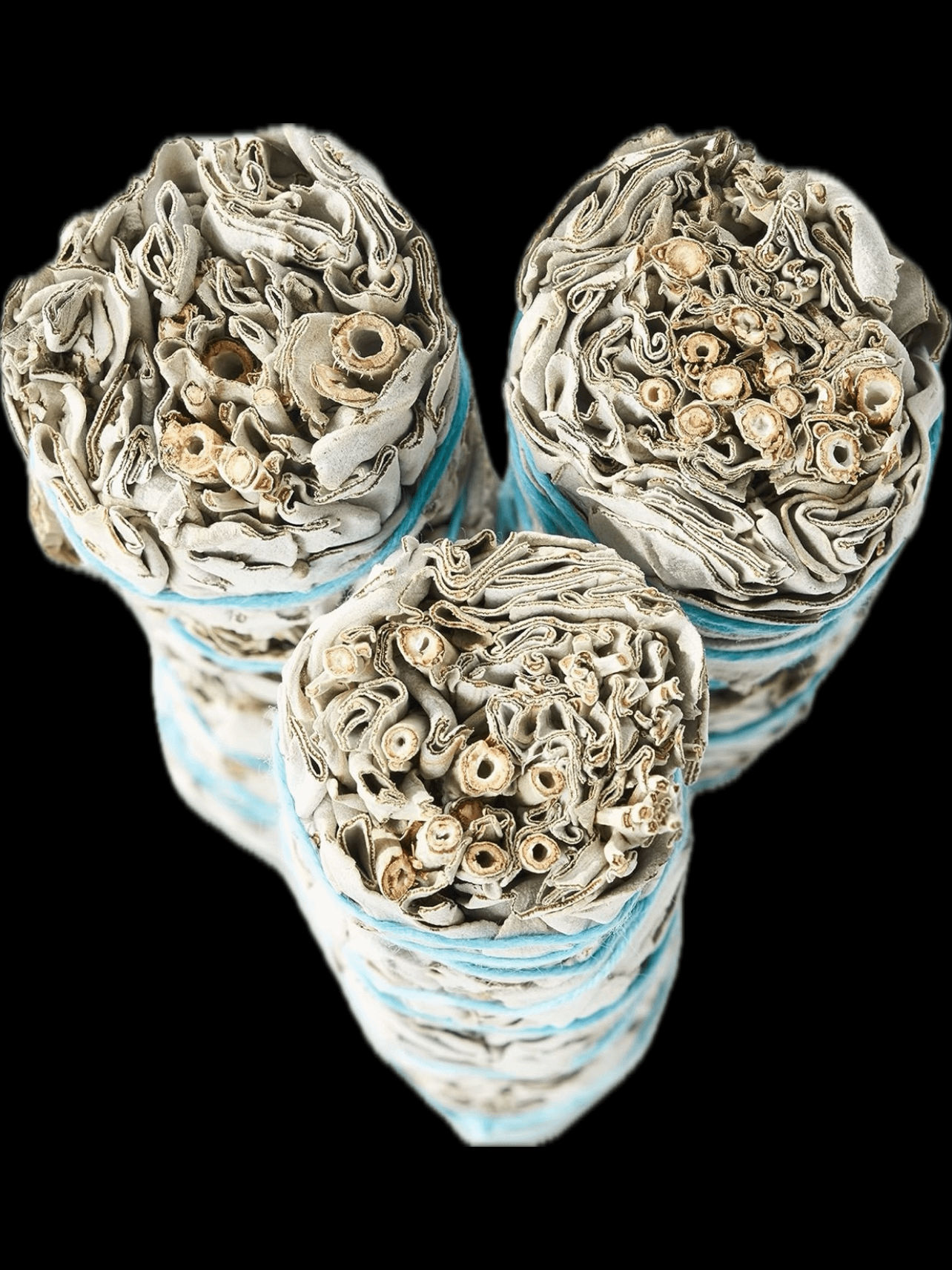 Esura's Jumbo Sage product image (2)