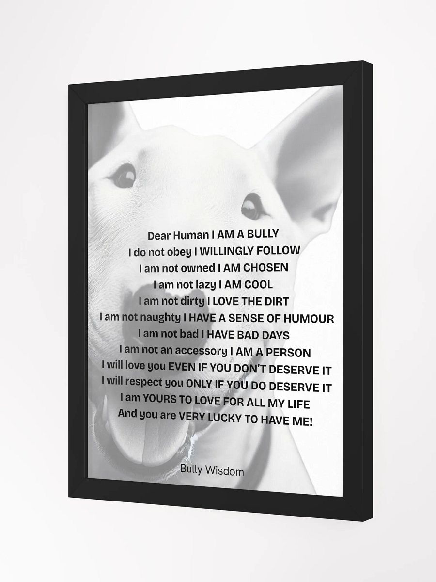 Bull Terrier "Dear Human, I am a Bully" product image (12)