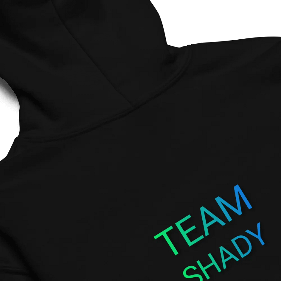 Kids Team Shady Hoodie product image (2)
