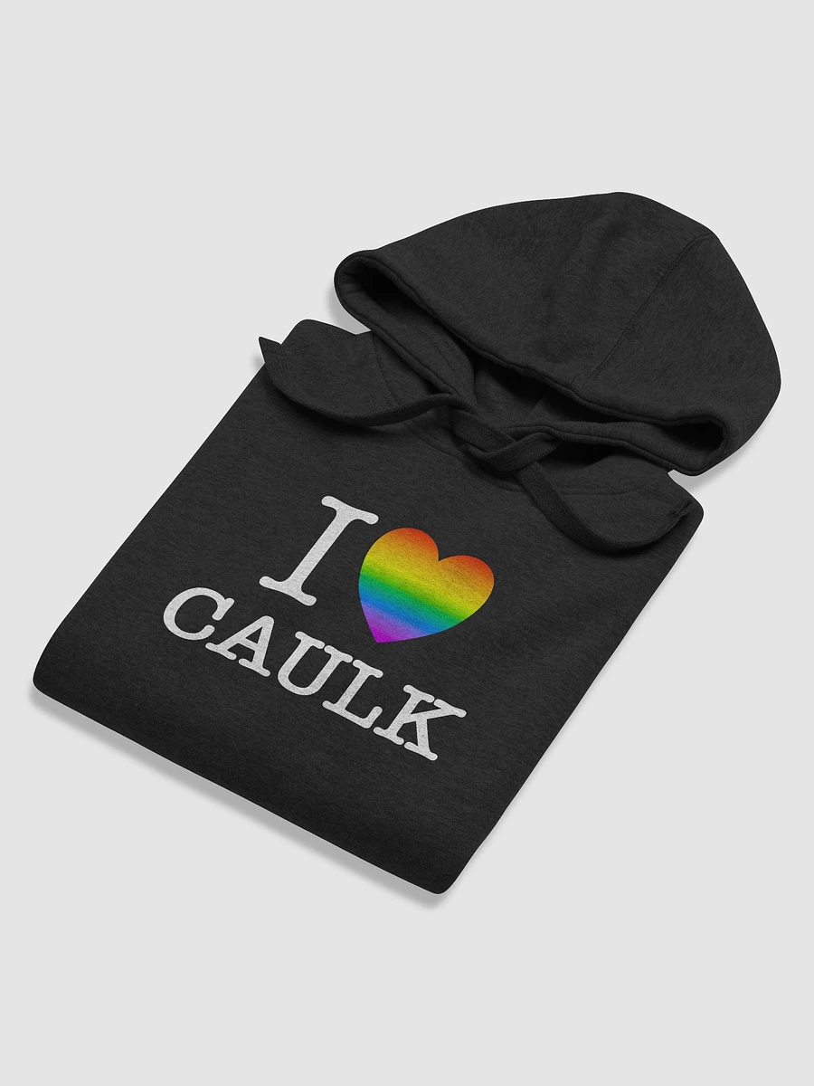 I LOVE CAULK Rainbow / Dark Premium Hoodie product image (5)