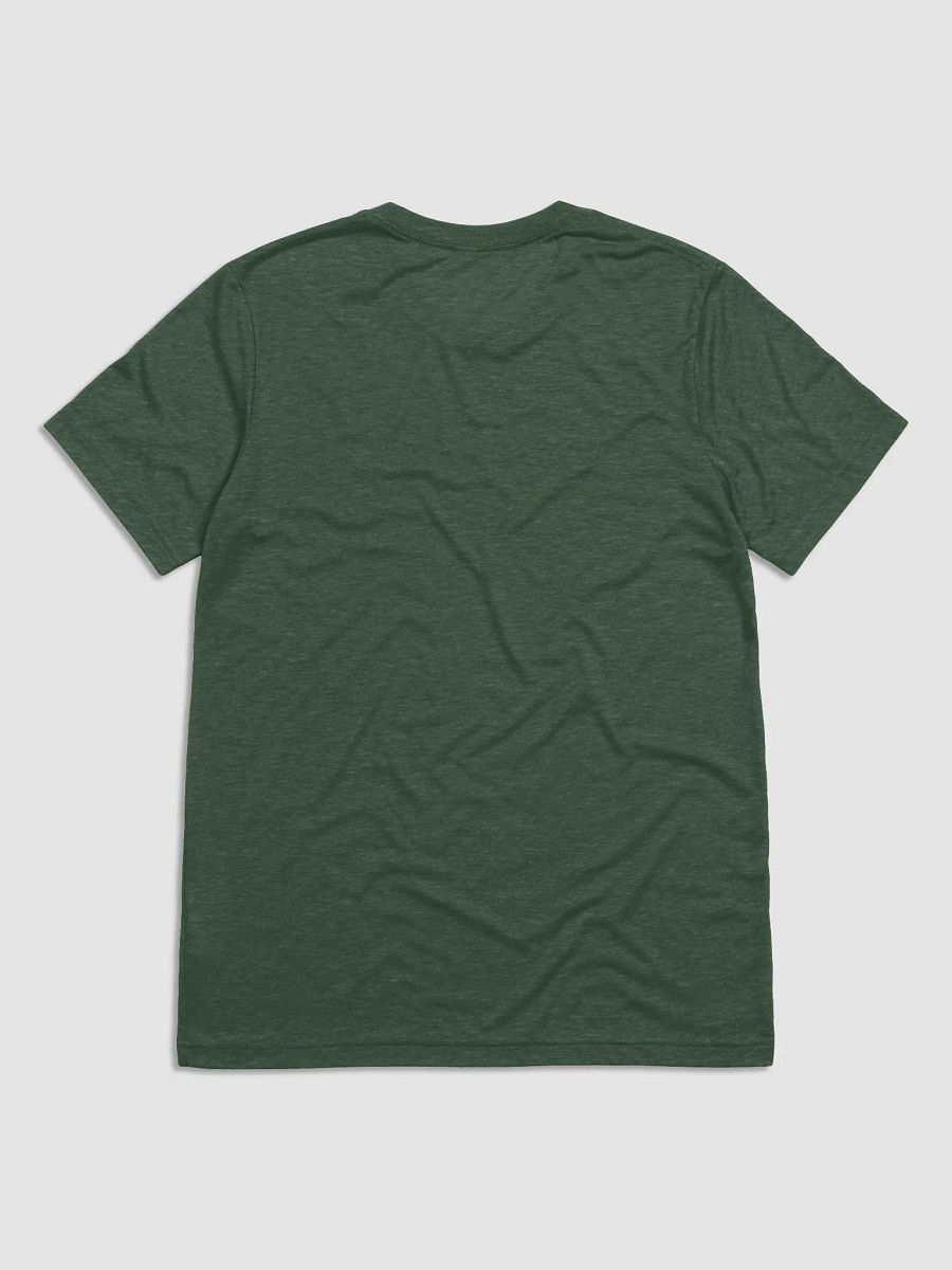 PTS CAmp 2025 Bella Tri-blend product image (9)