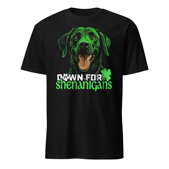 Down for Shenanigans: Black Lab product image (1)