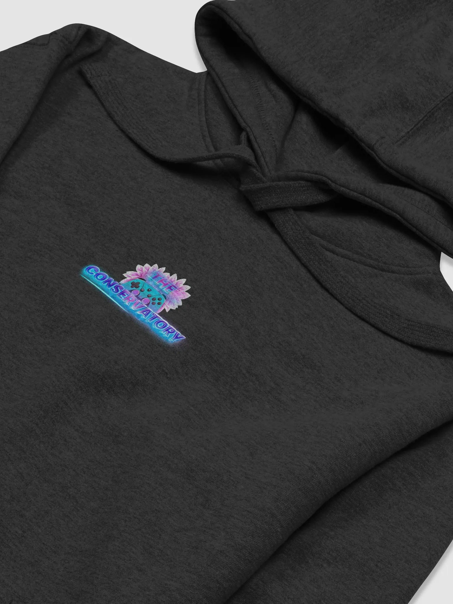 The Conservatory Crew Hoodie product image (3)