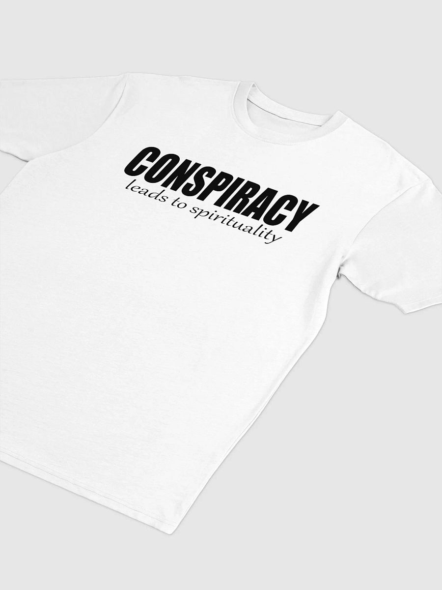 Conspiracy Leads To Spirituality - Cotton Heritage Men's Premium Heavyweight Tee product image (3)