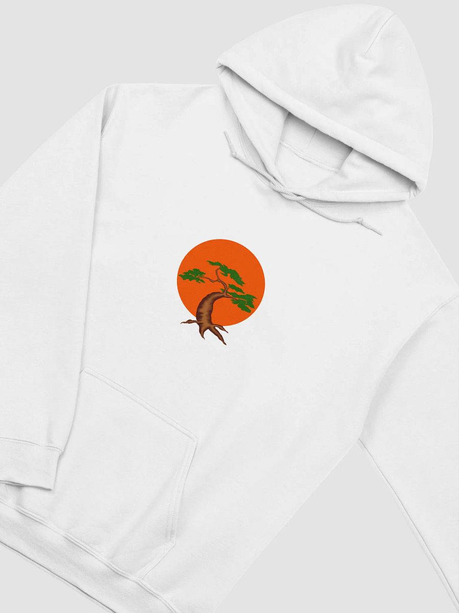 Nature's Contrast Hoodie product image (3)