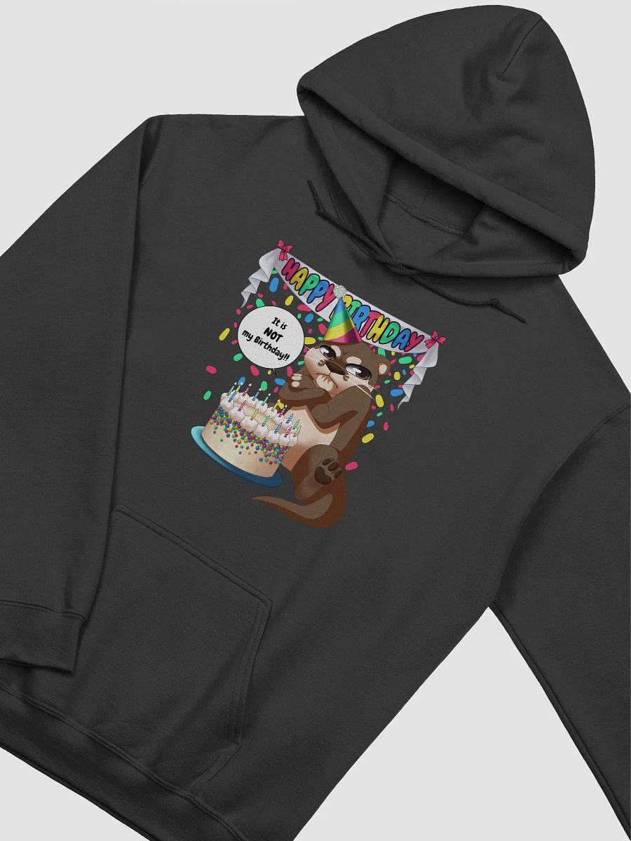 Not My Birthday Hoodie product image (3)