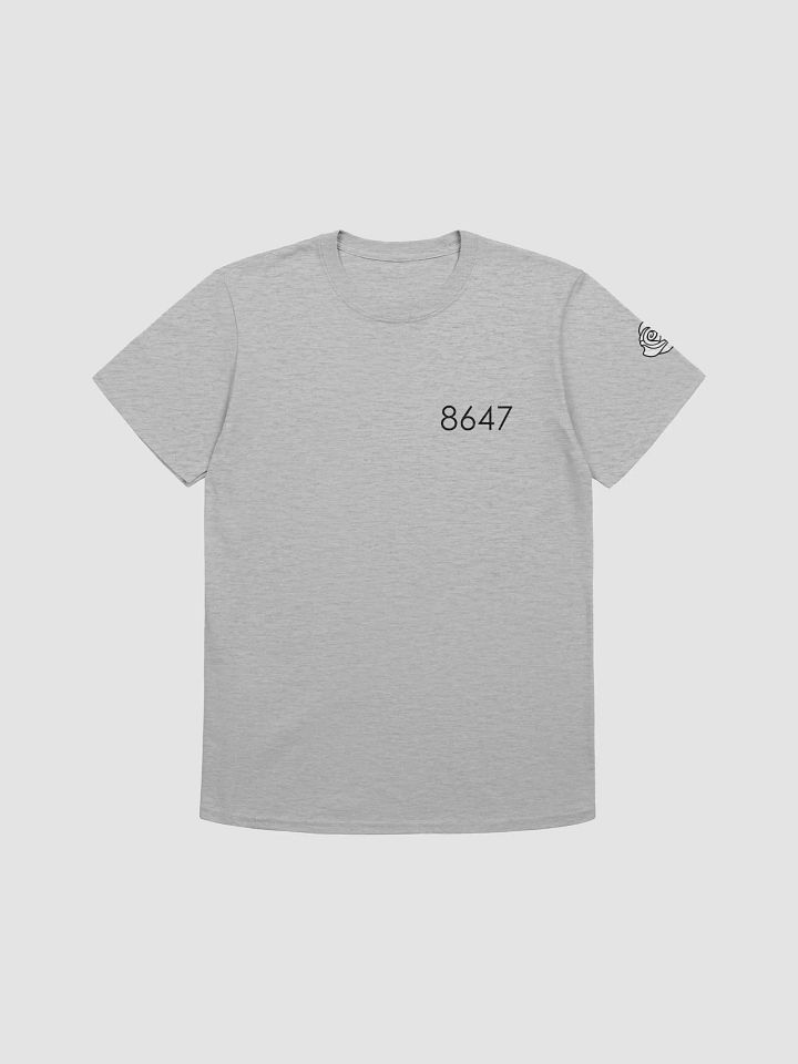 8647 Gildan Unisex Softstyle Tee - B product image (1)