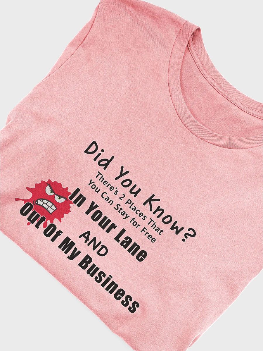 Did You Know T-shirt product image (3)