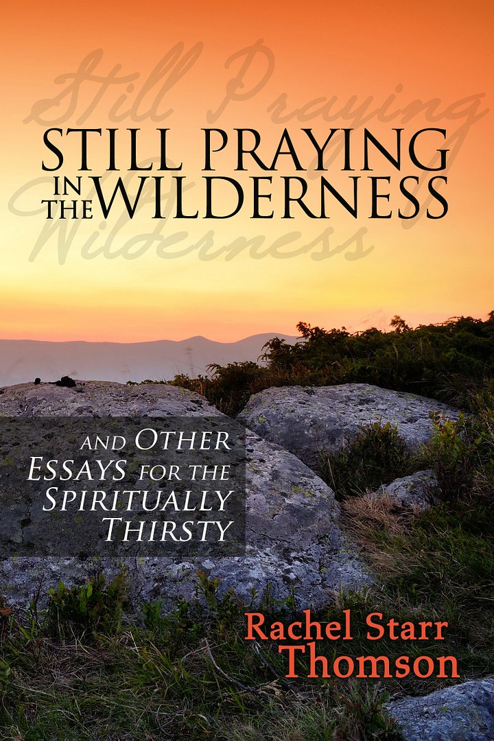 Still Praying in the Wilderness and Other Essays for the Spiritually Thirsty [EBOOK] product image (1)