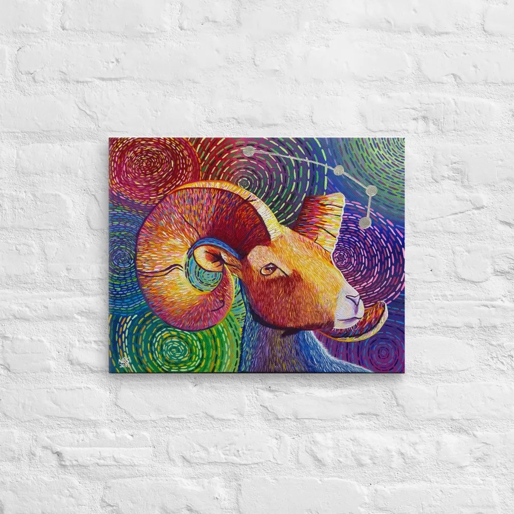 Aries Aurora product image (12)