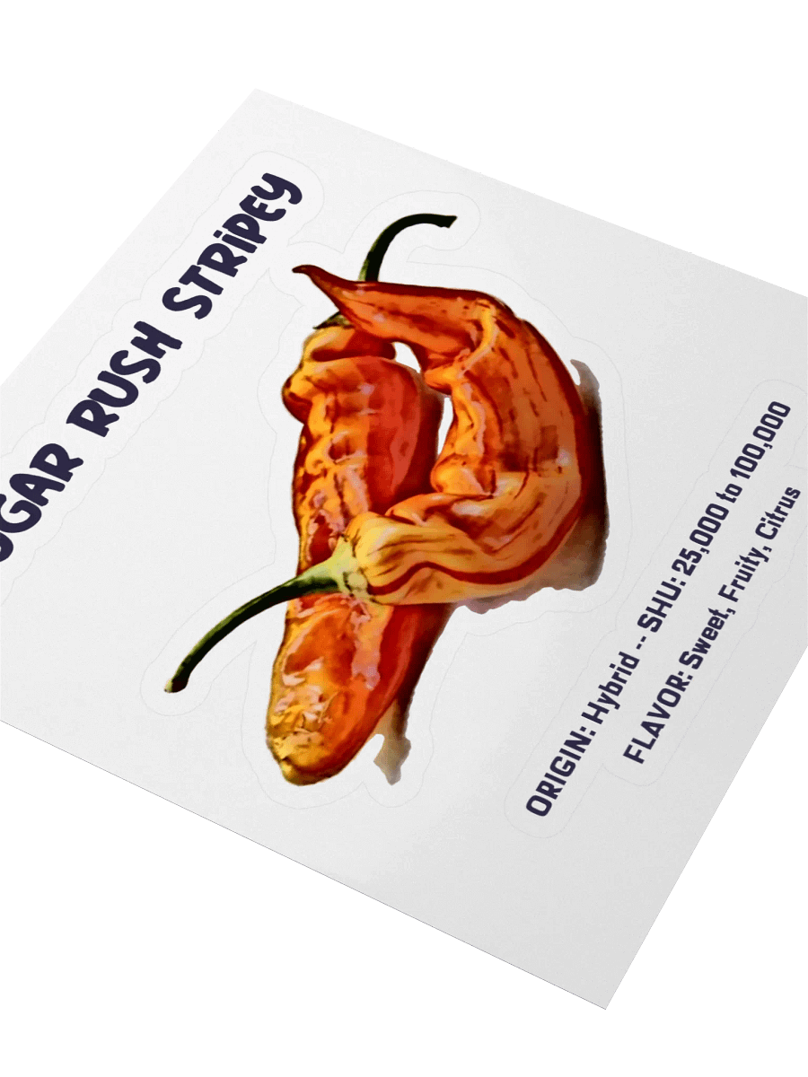 Sugar Rush Stripy Pepper Sticker product image (3)