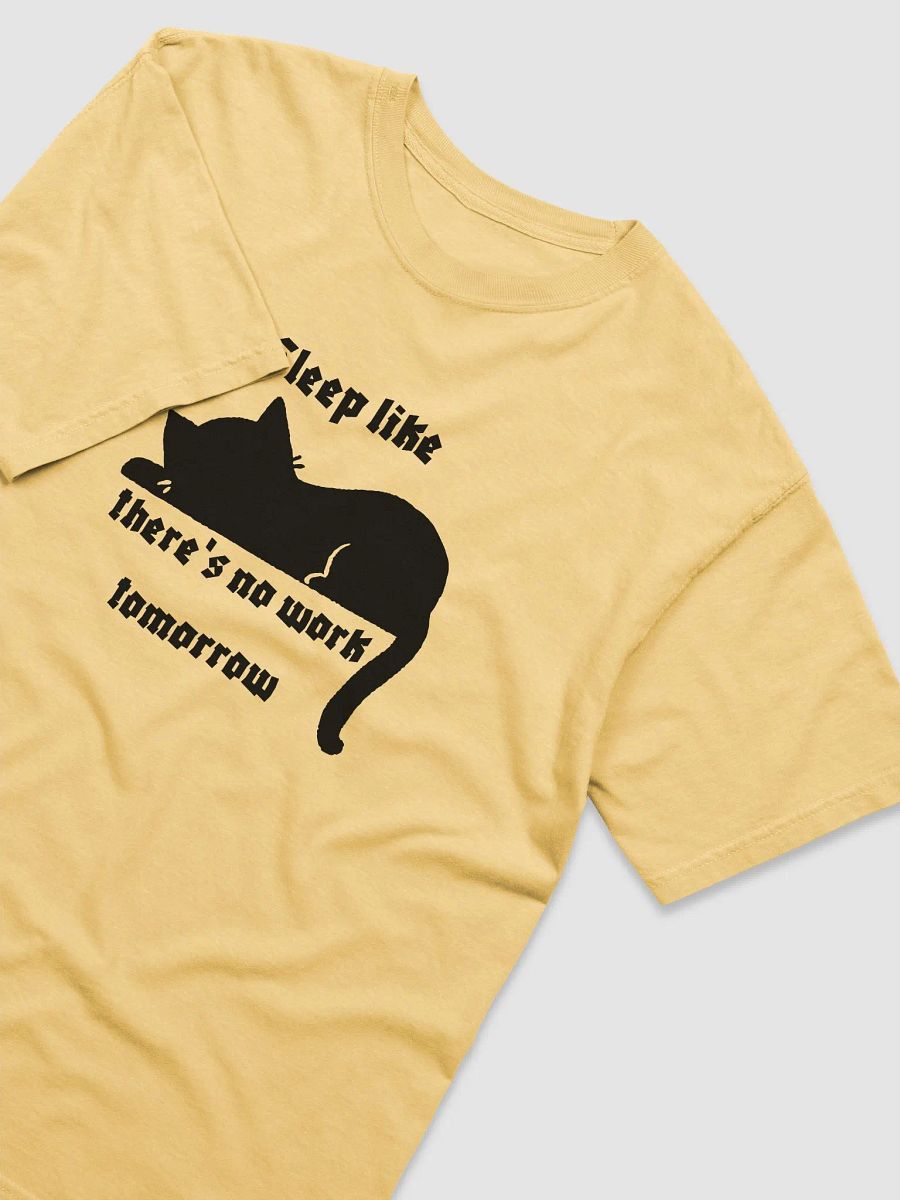 Very comfortable cat t-shirt for holidays product image (3)
