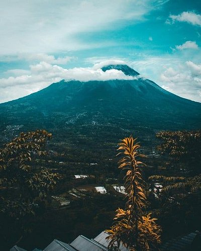 Every shirt, every donation, every share helps us get closer to building the Taoist retreat we’ve been dreaming of. 🌿
If the ...
