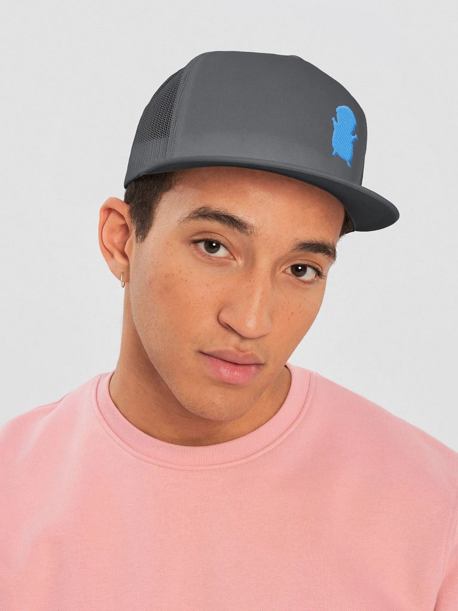FIRESNOUT CHARCOAL AND TEAL HAT product image (1)