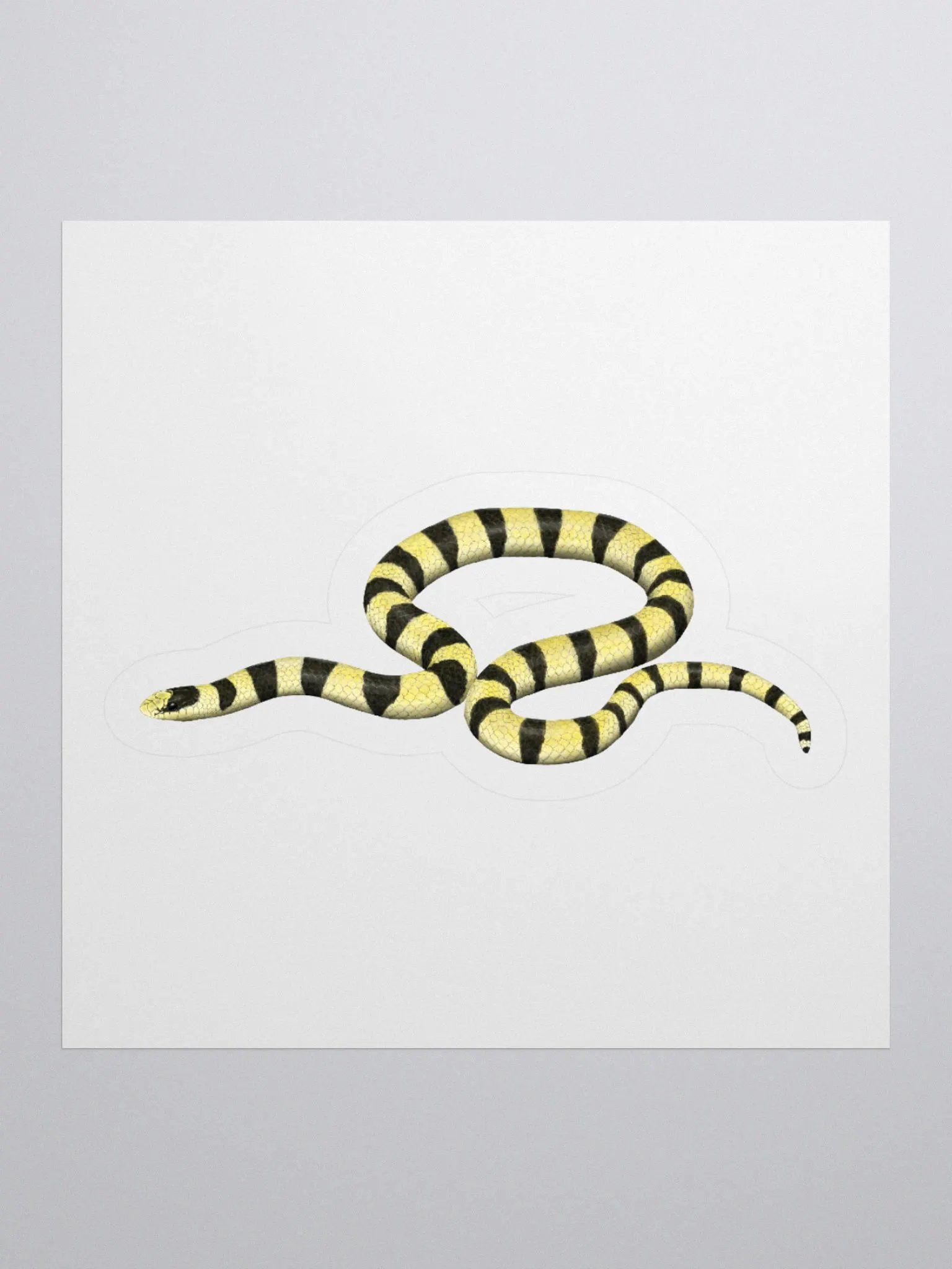 Die-Cut Sticker – Resplendent Shovelnosed Snake (Mohave Phase) product image (1)