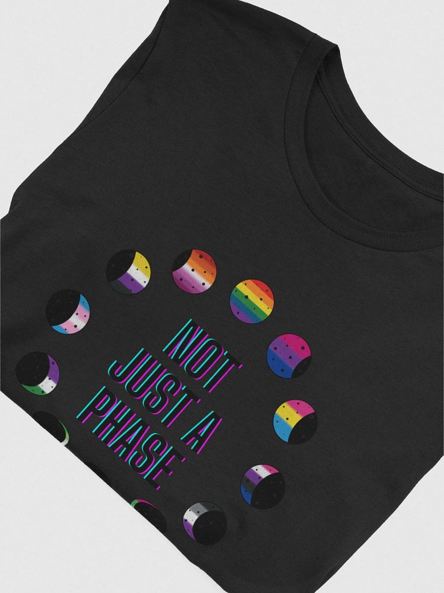 -Not Just a Phase- Pride Tee product image (23)