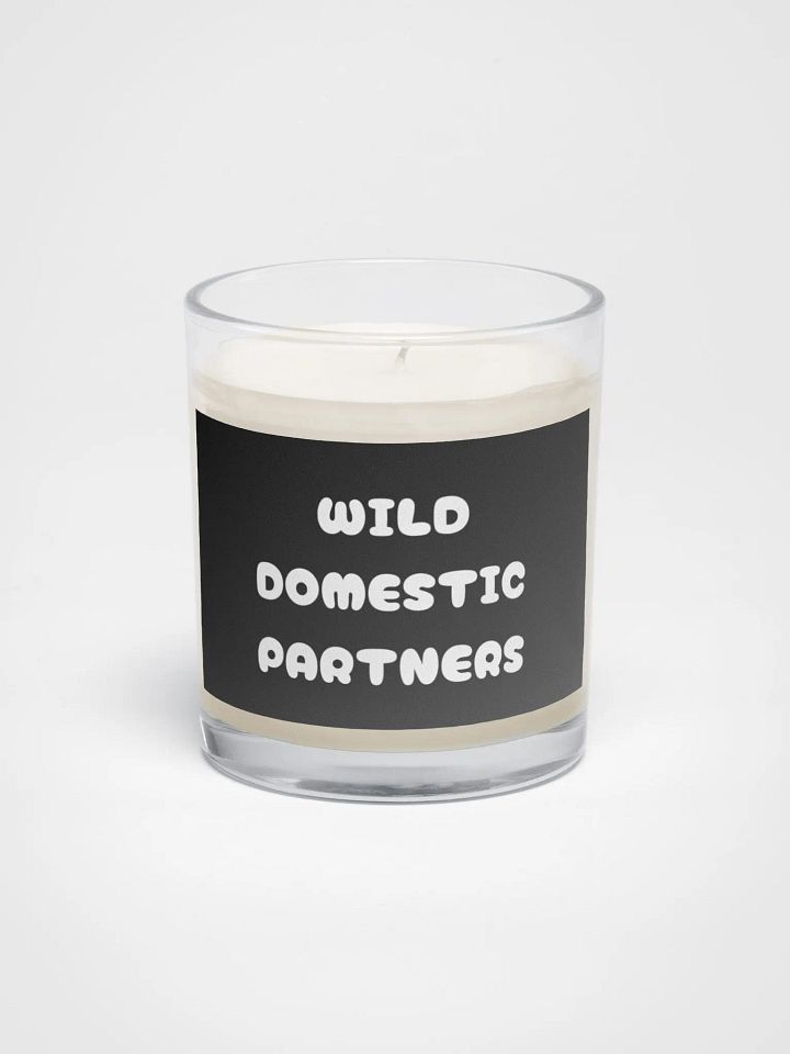Wild Domestic Partners Soy Candle product image (1)