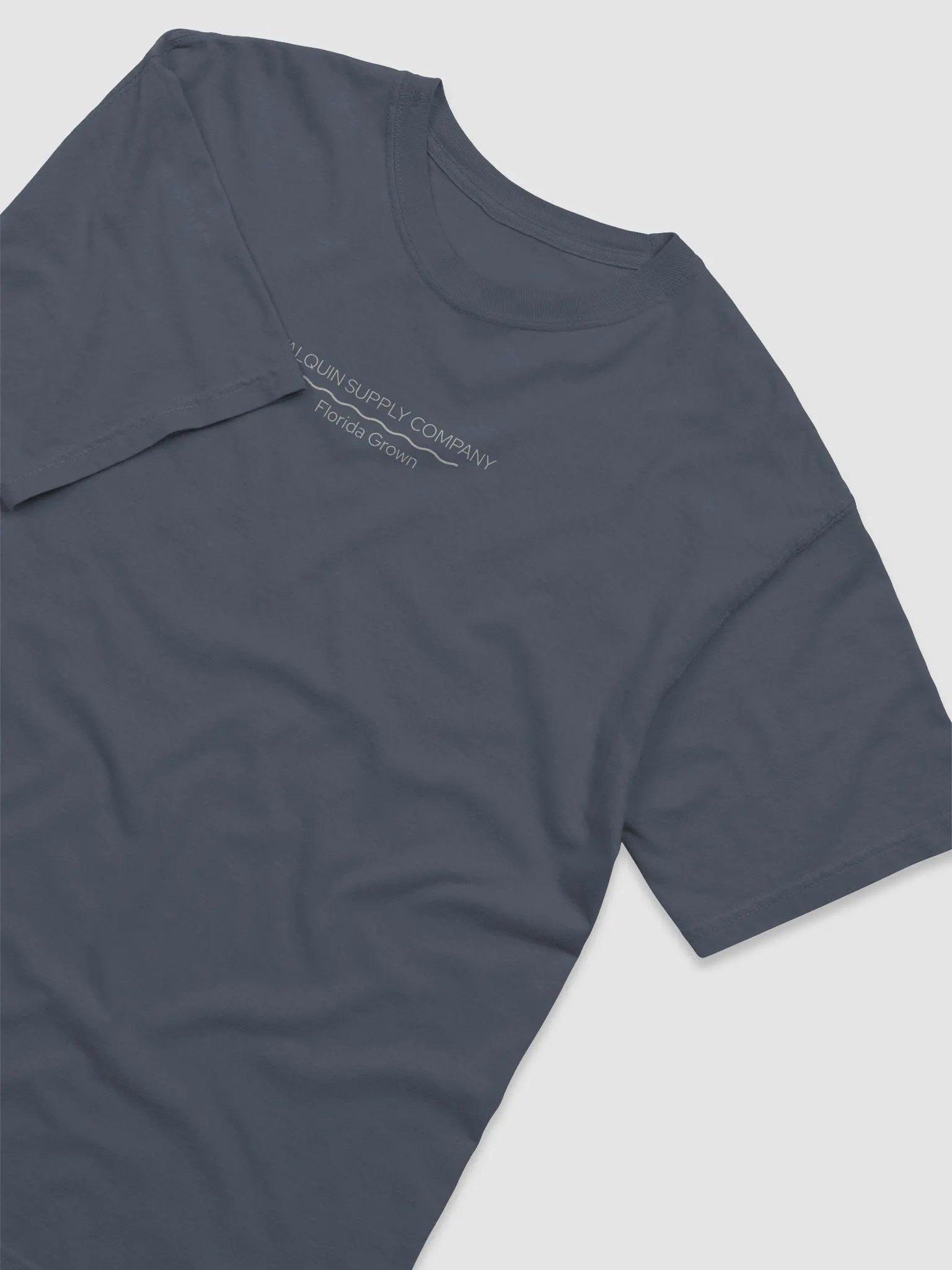 Landing Zone Comfort Colors Tee product image (3)
