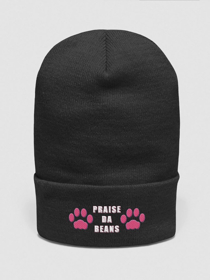 Praise Da Beanies product image (1)